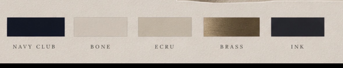 ESTEÉ & CO. brand palette